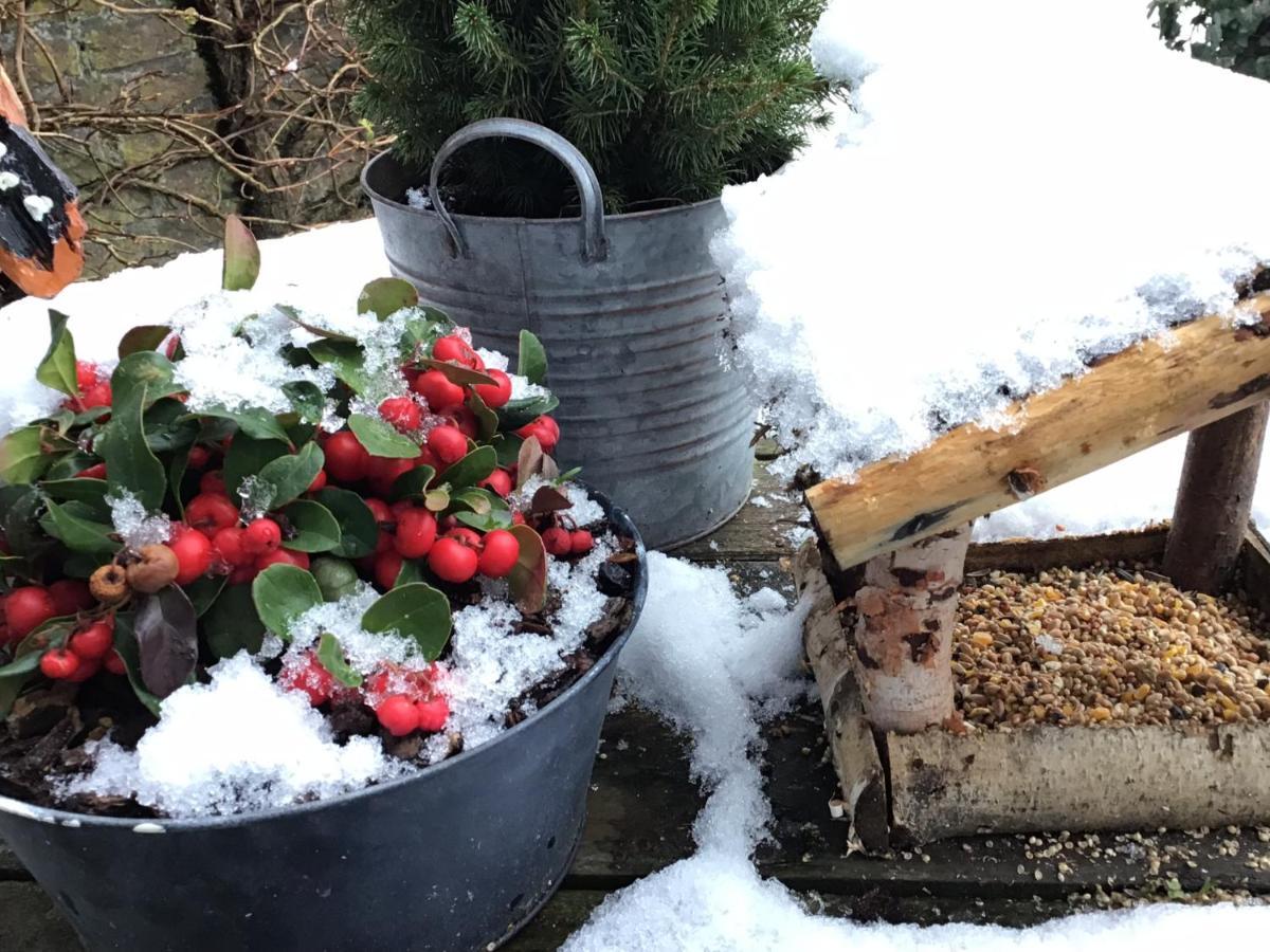 B&B Alie Kruse-Kolk Art & Design Overdinkel Luaran gambar